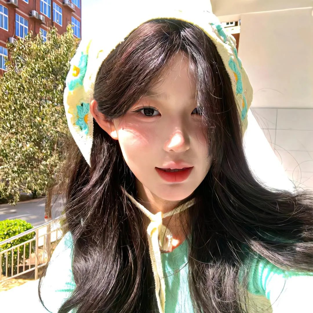 救援狗